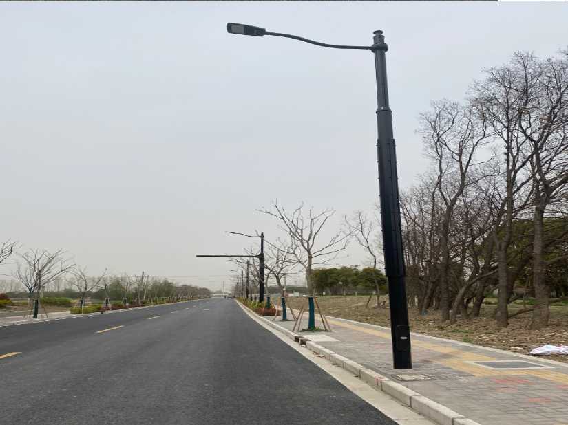 金湖县上海综合杆 太阳能路灯工程